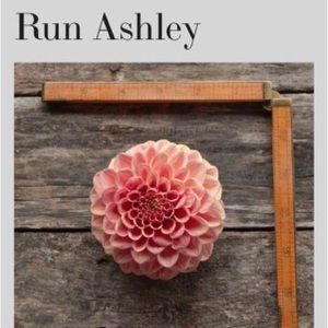 Rock run Ashley dahlia tuber